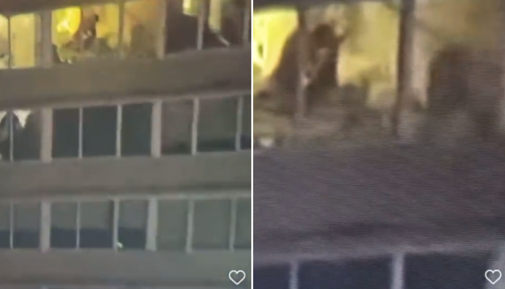 Couple caught having sex Couple caught having sex