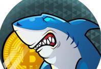 Shark Coins