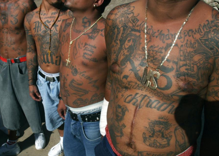 Members of MS-13 Street Gang 