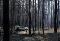 Picture for representation Picture for representation