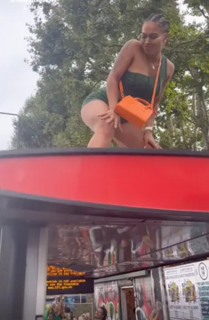 A bus-stop has been destroyed by carnival-goers in London. A bus-stop has been destroyed by carnival-goers in London.