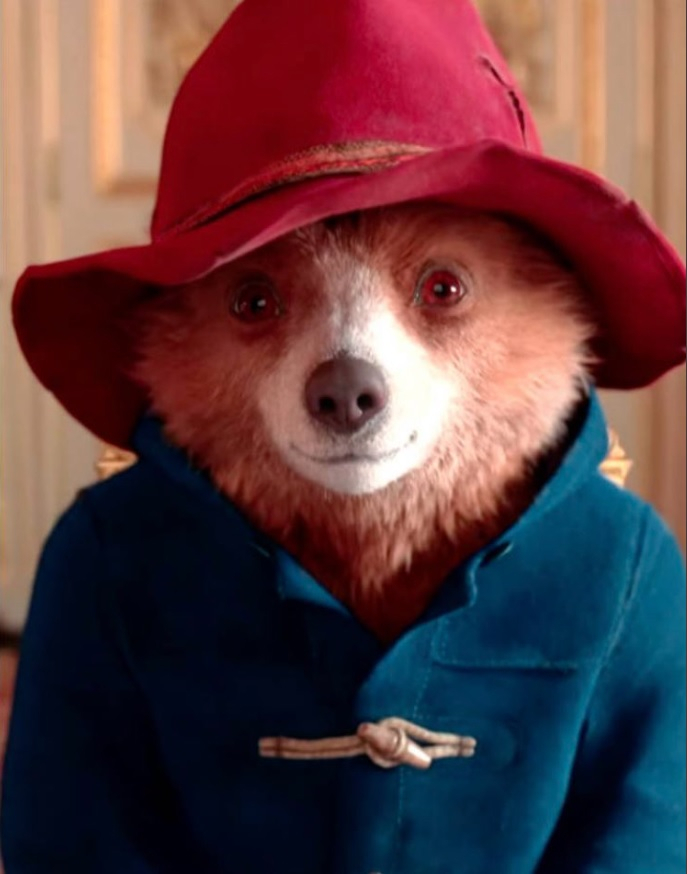 Paddington Bear