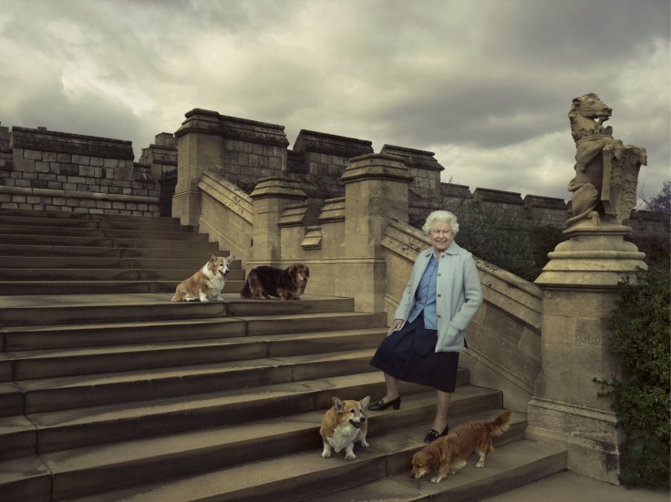 Queen Elizabeth II her dogs