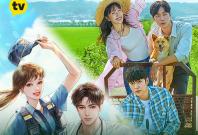 Once Upon A Small Town Once Upon A Small Town