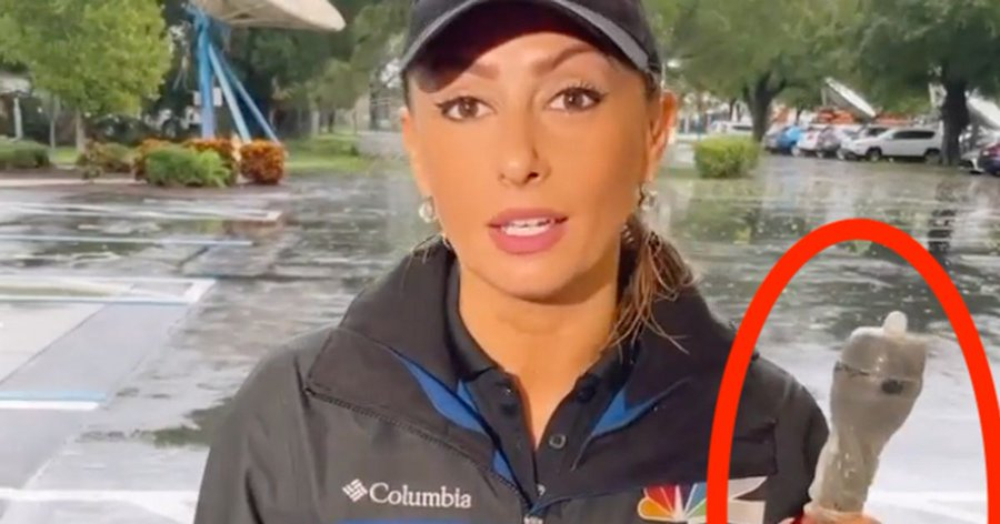 Who Is Kyla Galer? Florida Reporter Covers Her Mic With A Condom While ...