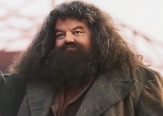 Harry Potter's Hagrid Is No More; Robbie Coltrane Dies At The Age Of 72