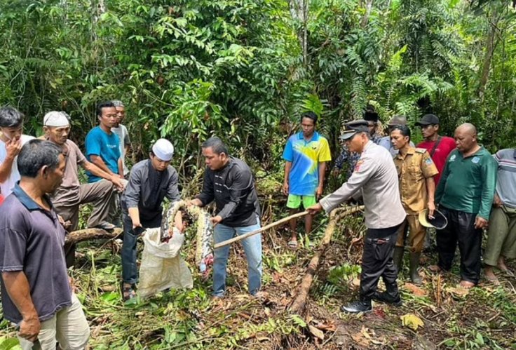 Python Indonesia