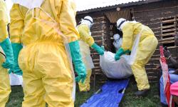 Ebola Outbreak