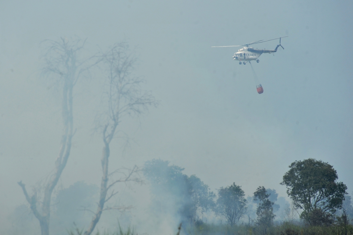 13 killed as Indonesian military chopper crashes during  anti-terror operation