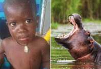 hippo swallows 2-year-old in Uganda