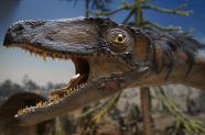 Scientists Find Out What Meal A Dinosaur Consumed 120 Million Years Ago 