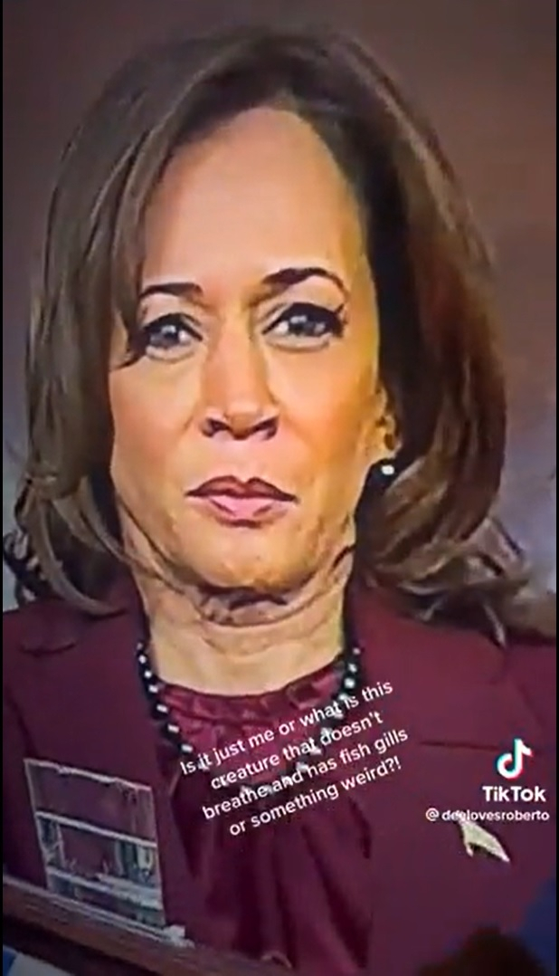 FACT CHECK: Did Someone Else Wear Kamala Harris' Mask And Pose As Her ...