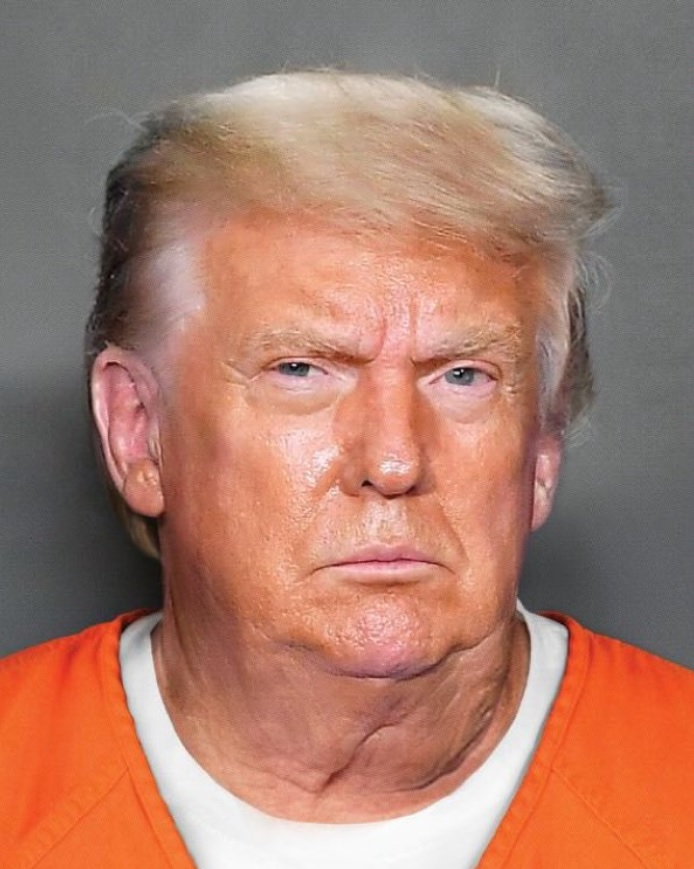 Trump fake mugshot