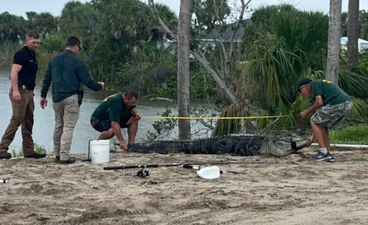 Alligator Bites Off Man's Arm in Near-Fatal Attack Outside Fort ...