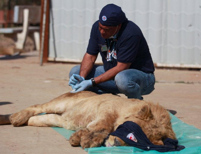 Mosul Zoo