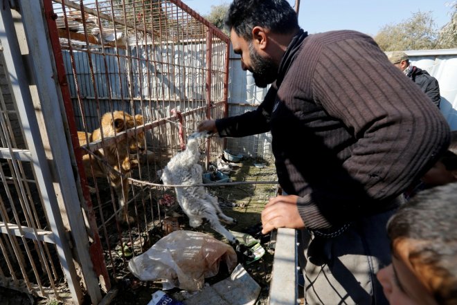 Mosul Zoo