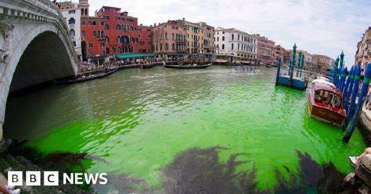 Culture War? Patch of Venice Canal Turns Mysteriously Green; A...