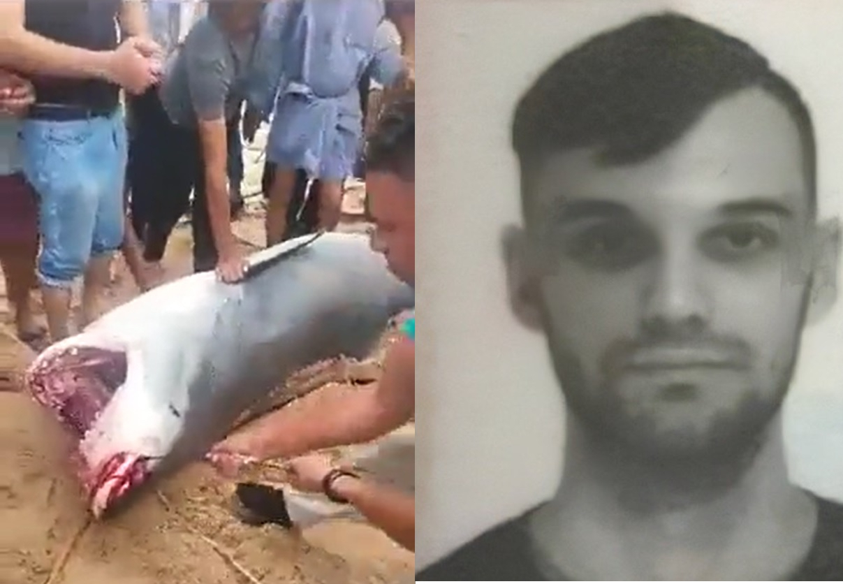 Vladimir Popov Body Parts Of Russian Man Eaten Alive By Shark Found