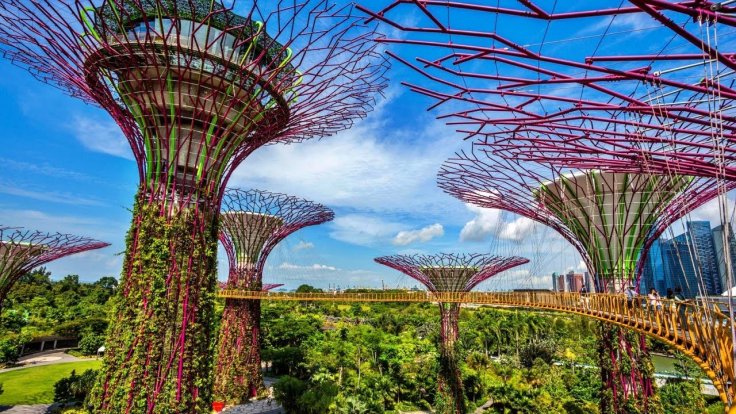 Singapore's OCBC Skyway, Supertree Grove: