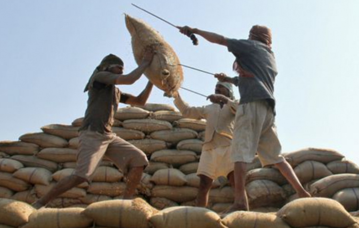 India rice export ban