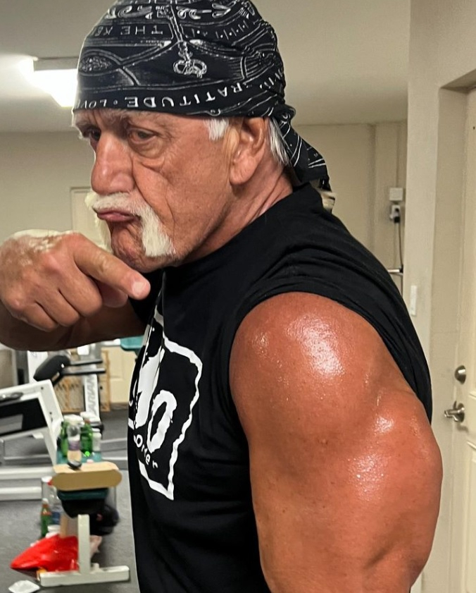 Hulk Hogan Hulk Hogan