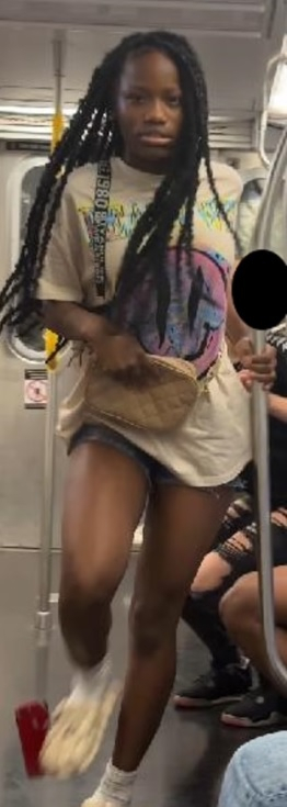 NYC subway attack NYC subway attack