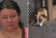 Brittany McClure Brittany McClure