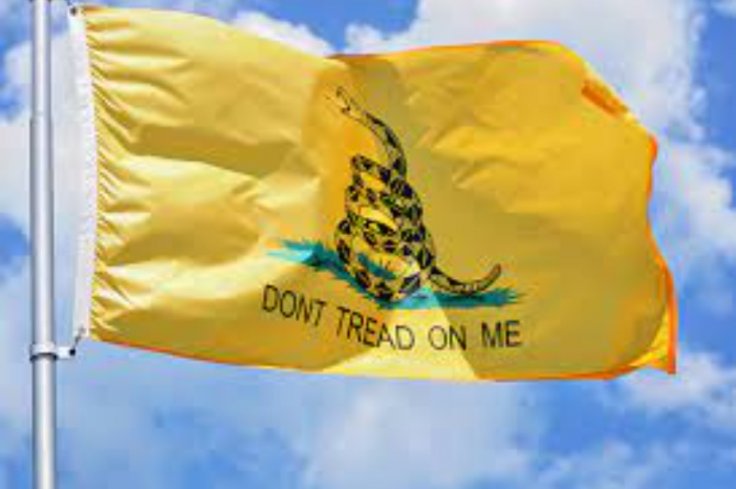 Gadsden flag