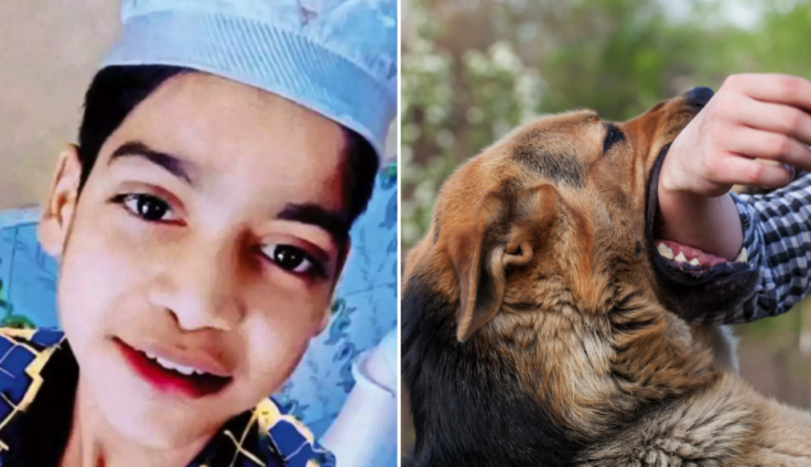 Indian Boy, 14, Dies of Rabies a Month After Getting Bit by Dog, Hiding ...