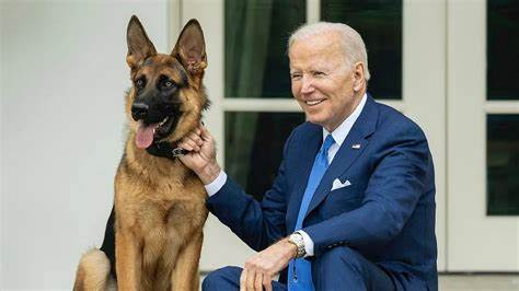 Biden's Dog Commander