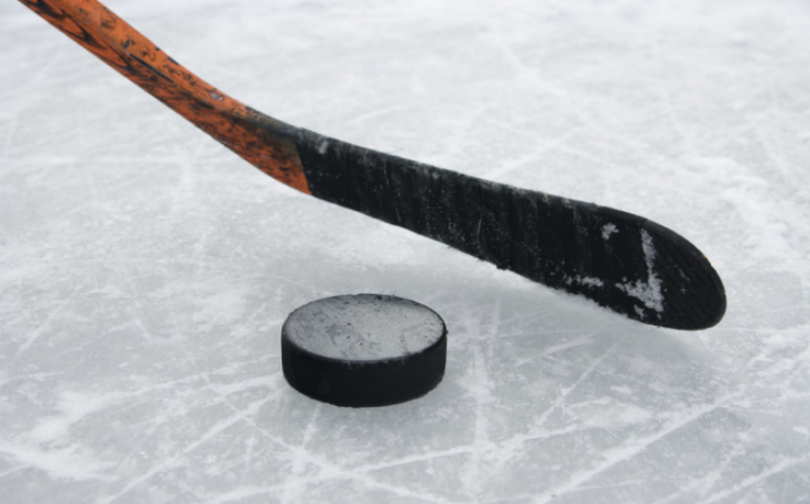 hockey stick and a puck