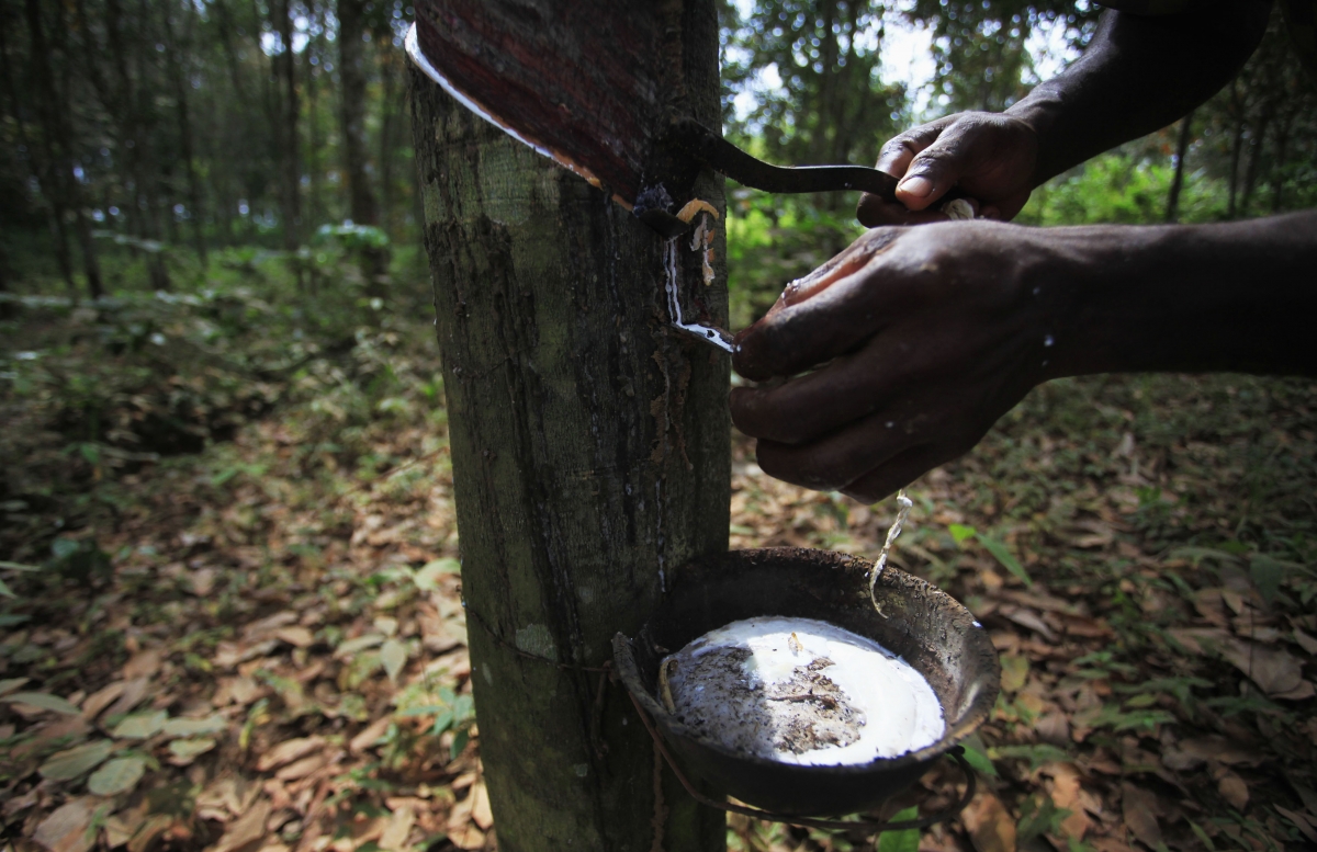 Halcyon joins China's Sinochem to create world's biggest natural rubber supplier