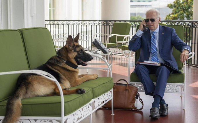 Biden's dog