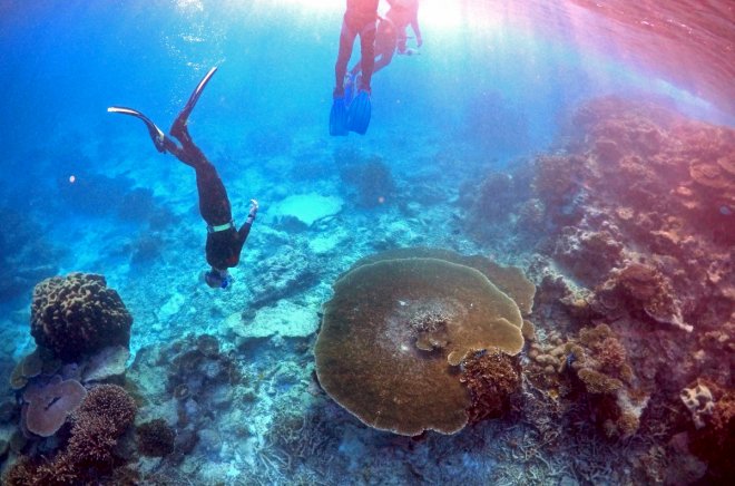 Great Barrier Reef