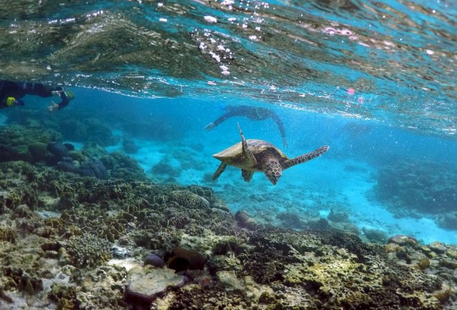 Great Barrier Reef