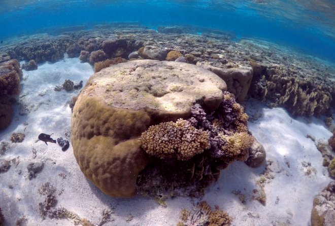 Great Barrier Reef