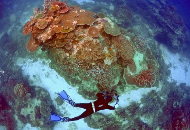 Great Barrier Reef