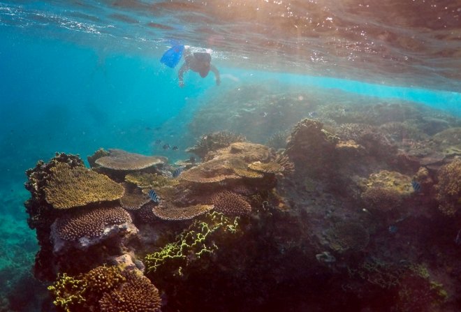 Great Barrier Reef