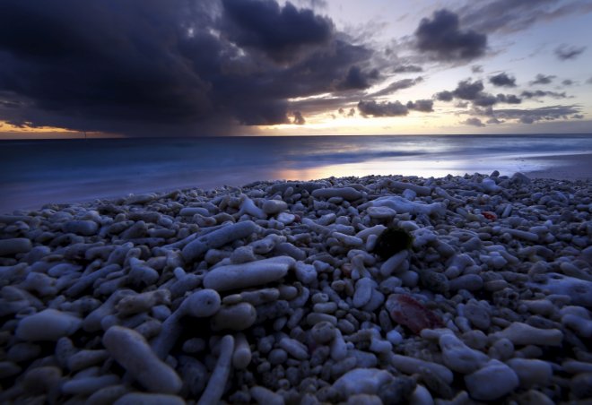 Great Barrier Reef