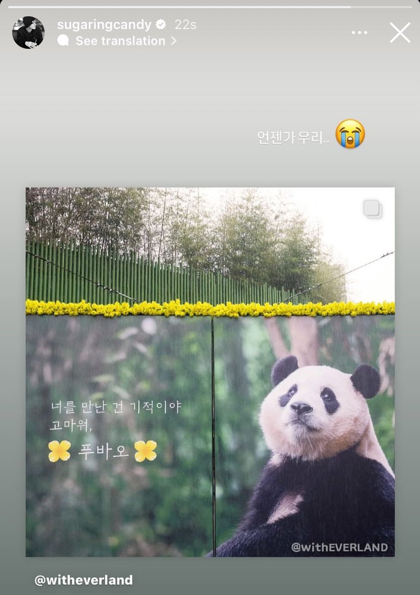 Who is Fu Bao? Giant Panda gets Teary-eyed Farewell, as She Leaves to China from South Korea