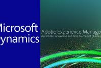 adobe microsoft adobe microsoft