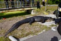 Sabrina Peckham Sabrina Peckham