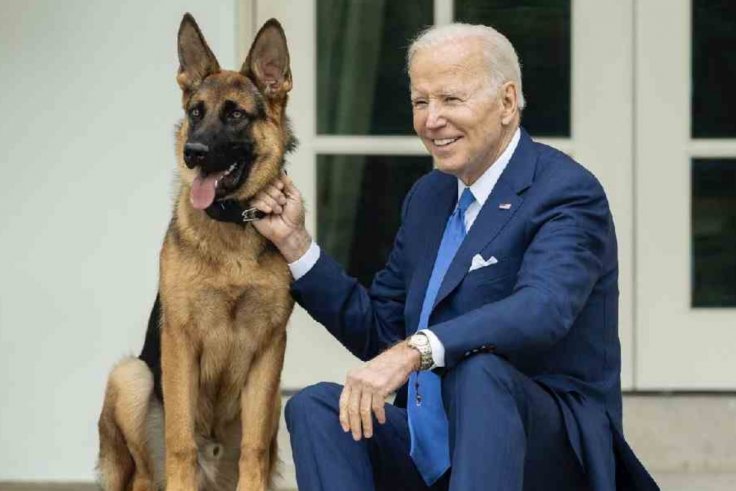 Biden's Dog Commander Repeatedly Attacked Secret Service Agents as the ...