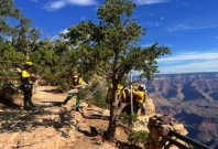 Grand Canyon National Par Grand Canyon National Par