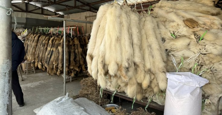 China fur firm