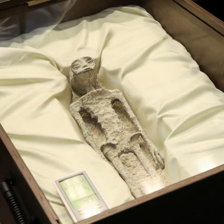 non human body non human body