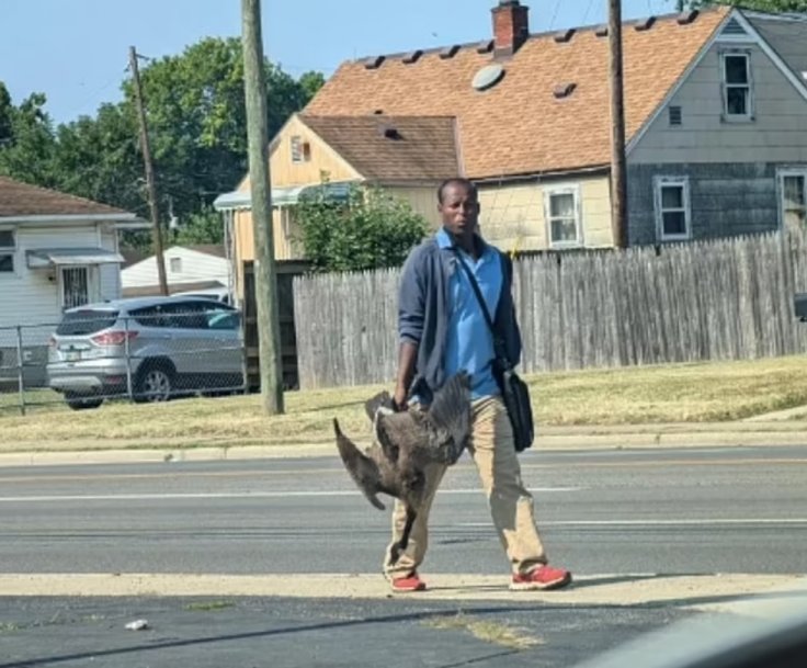 Man dragging geese through street