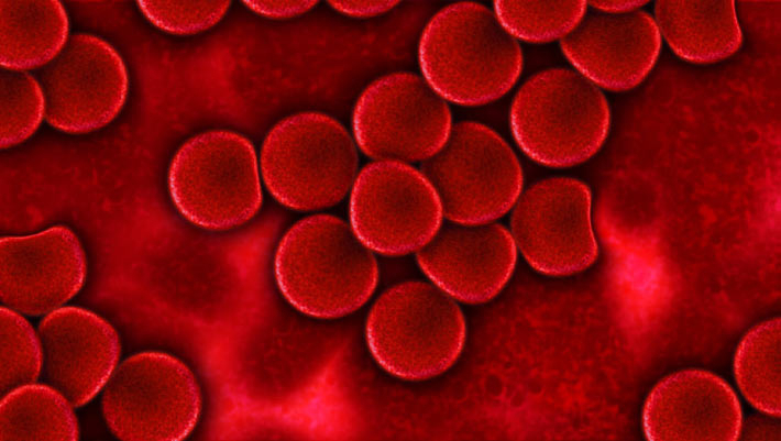 MAL Blood Group discovered