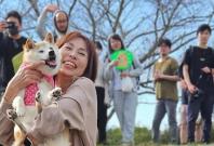 Doge Day 2024 Doge Day 2024