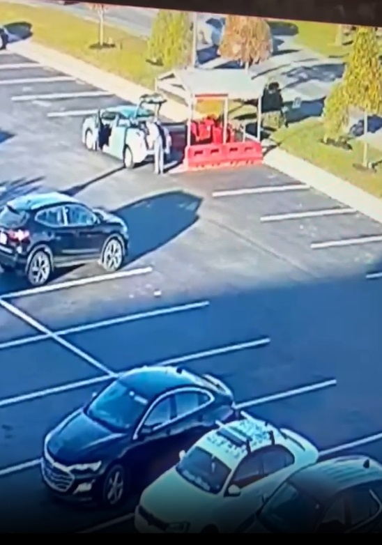 USPS worker tossing mailers